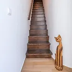 A Casa Do Leo