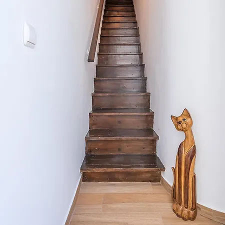 A Casa Do Leo