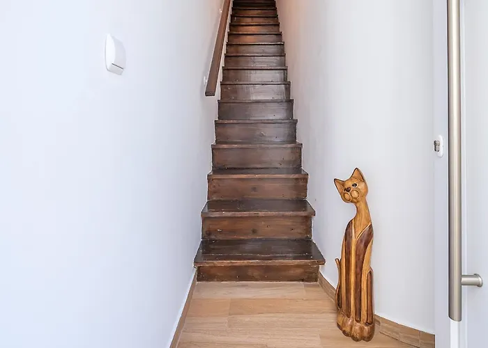 A Casa Do Leo